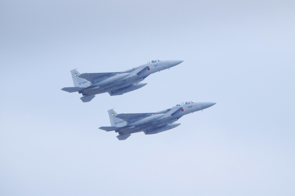 F-15フライバイ
