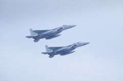 F-15フライバイ