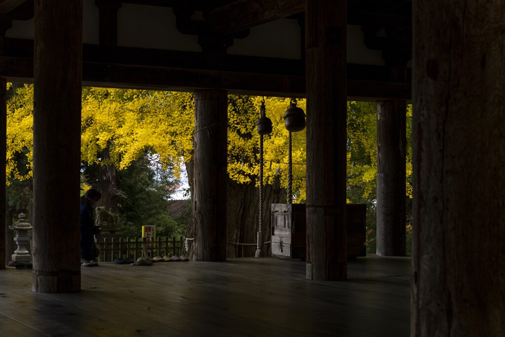 新宮熊野神社の紅葉①