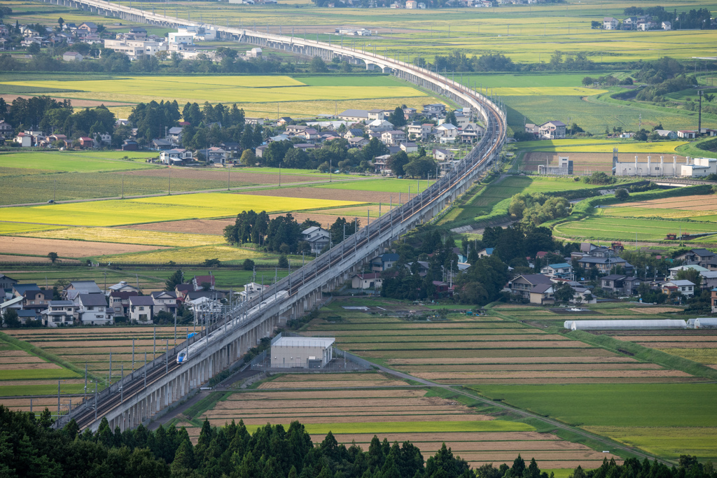 田園風景とE7系