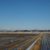 雪山と有明の月