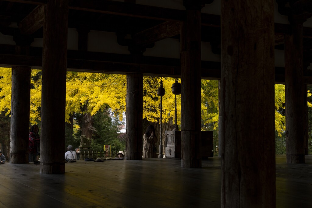 新宮熊野神社の紅葉⑥