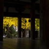 新宮熊野神社の紅葉⑥