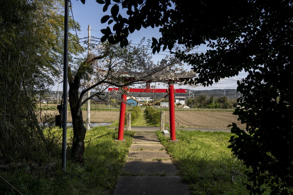 鳥居