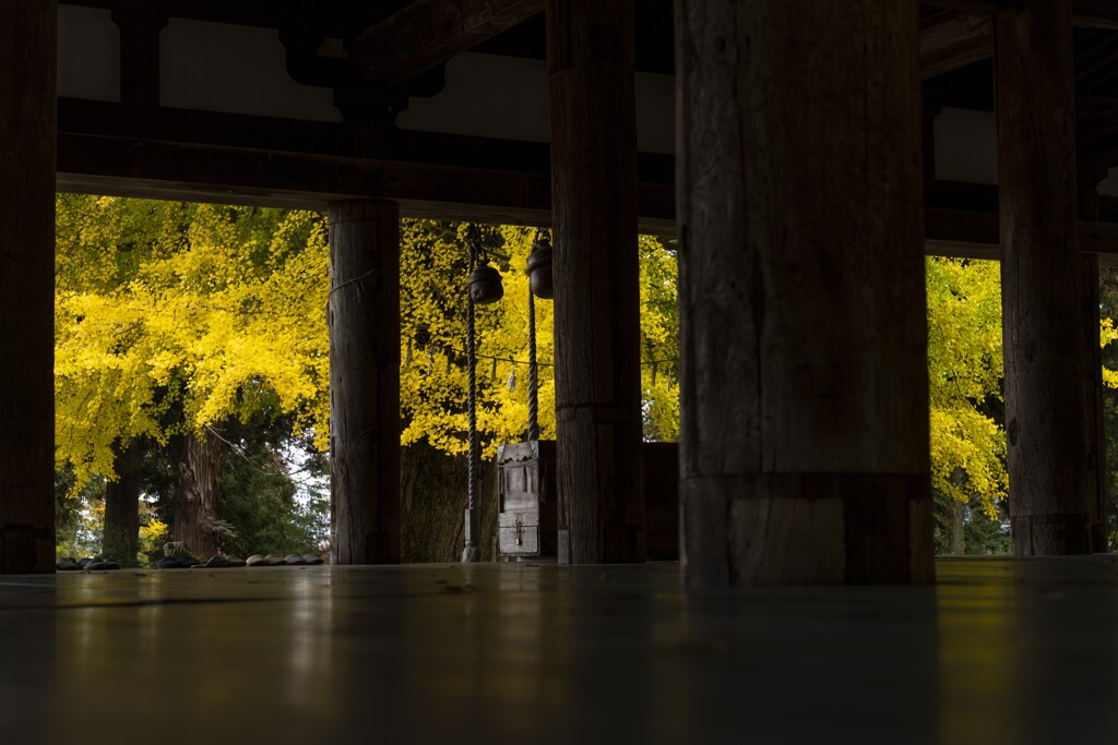 新宮熊野神社の紅葉③