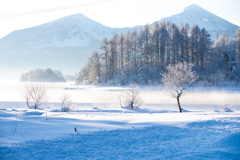 磐梯山と霧氷