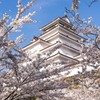桜と鶴ヶ城