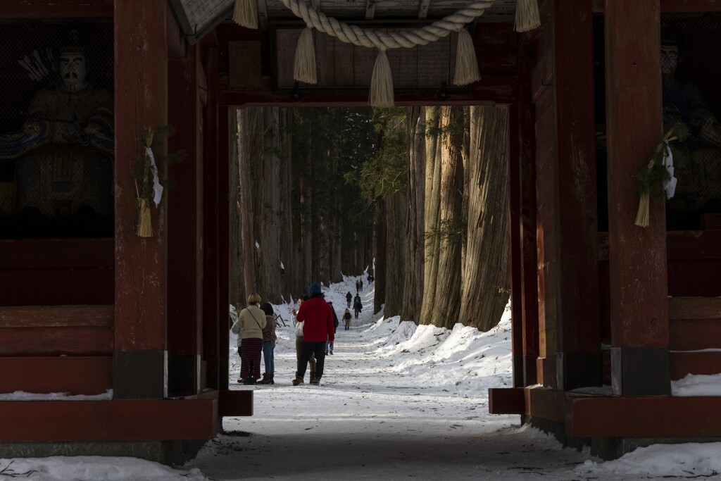 戸隠神社　奥者への参道
