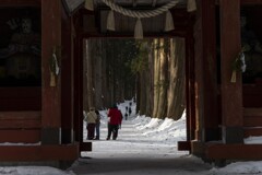 戸隠神社　奥者への参道