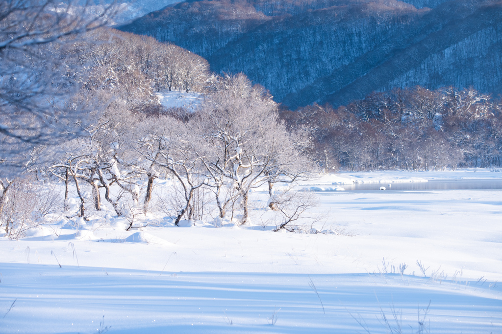 霧氷