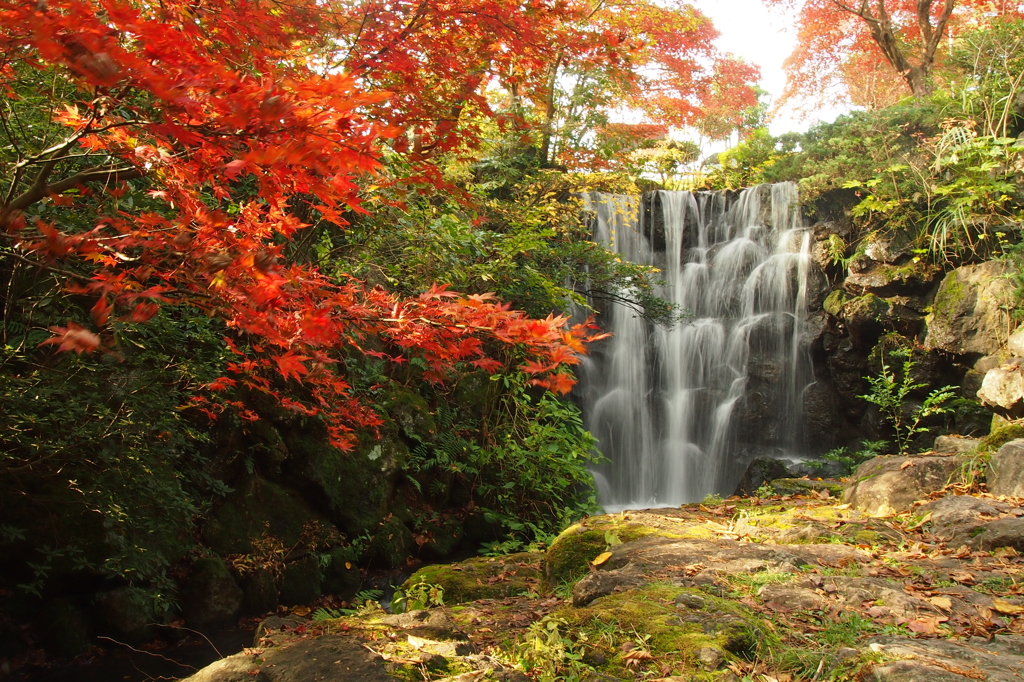 松雲山荘  紅葉と滝