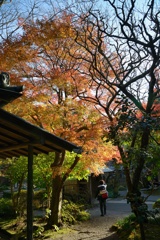 鎌倉の寺