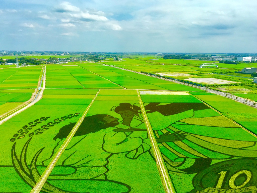 Rice paddy art