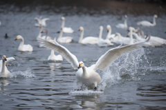 takeoff
