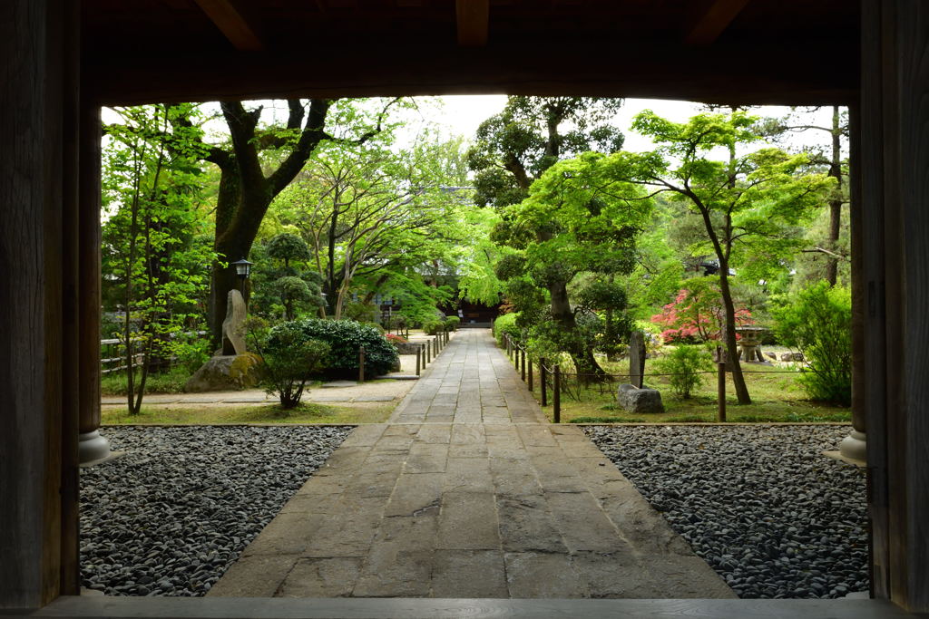 The garden where l hid