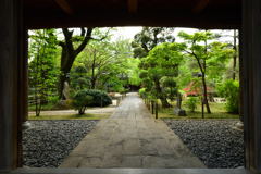 The garden where l hid