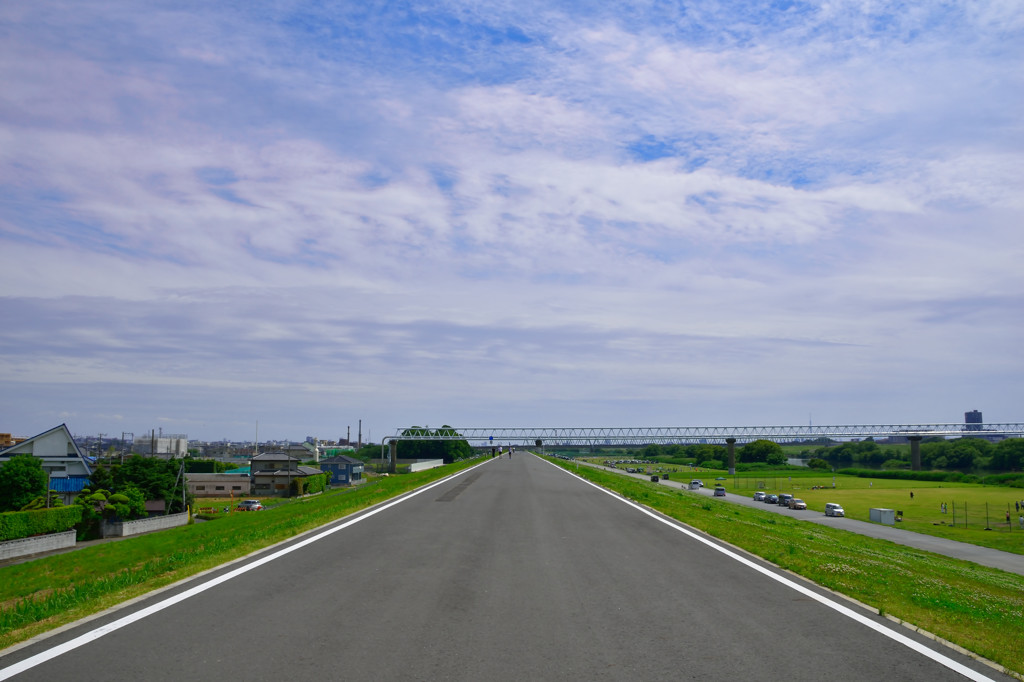 江戸川河川敷