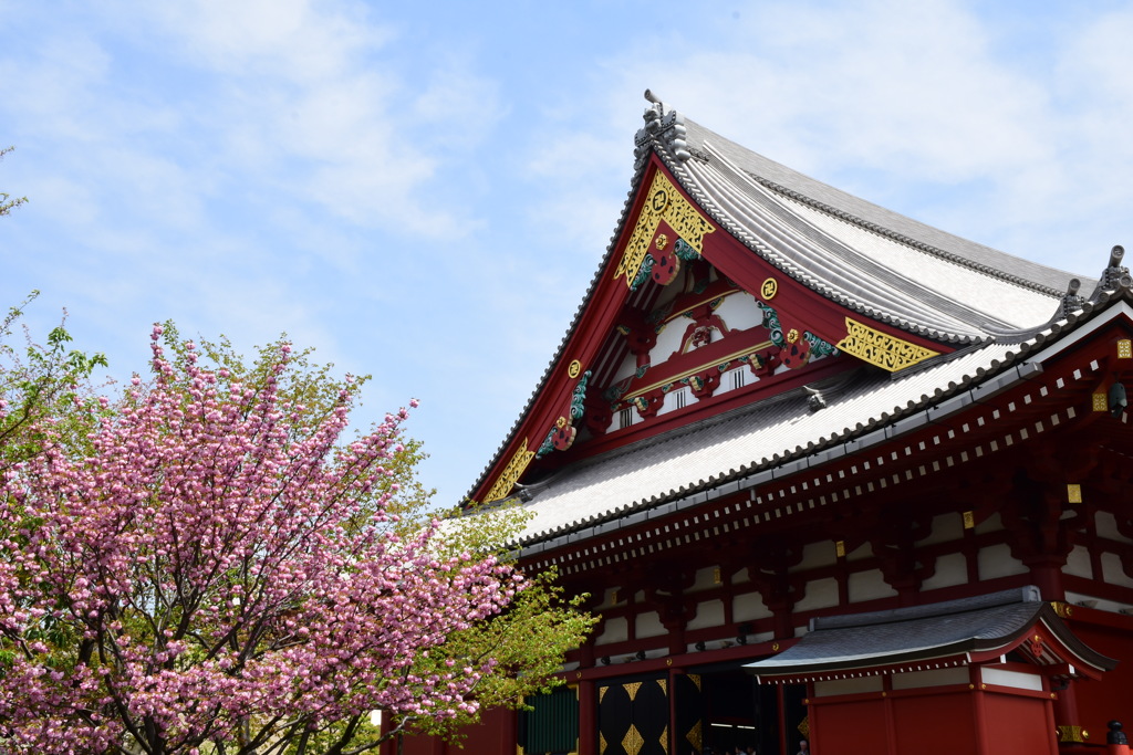 浅草寺本堂