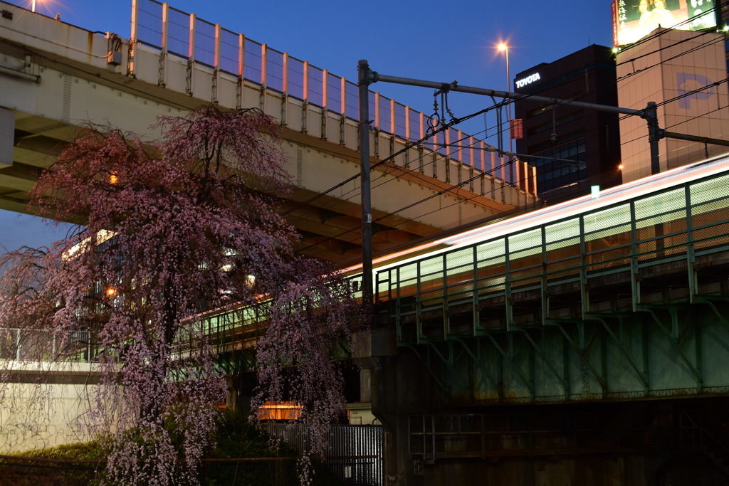 @水道橋