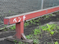 レギュラーの座は遠い