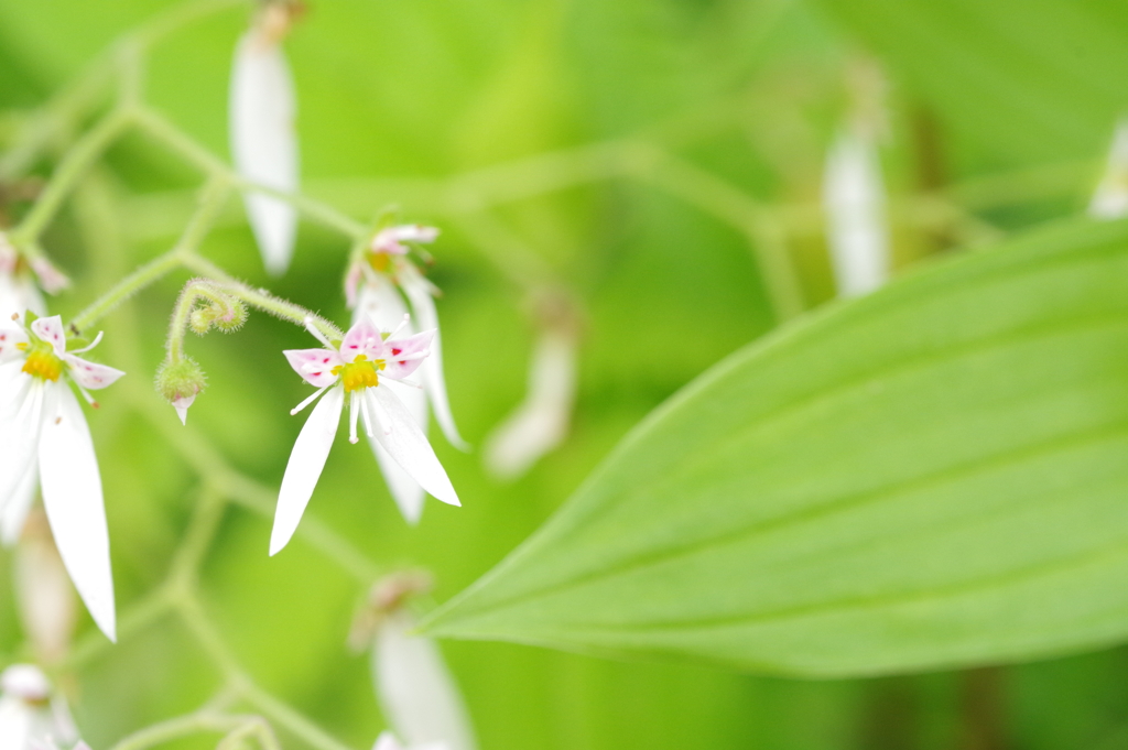 ただいまメンテナンス中