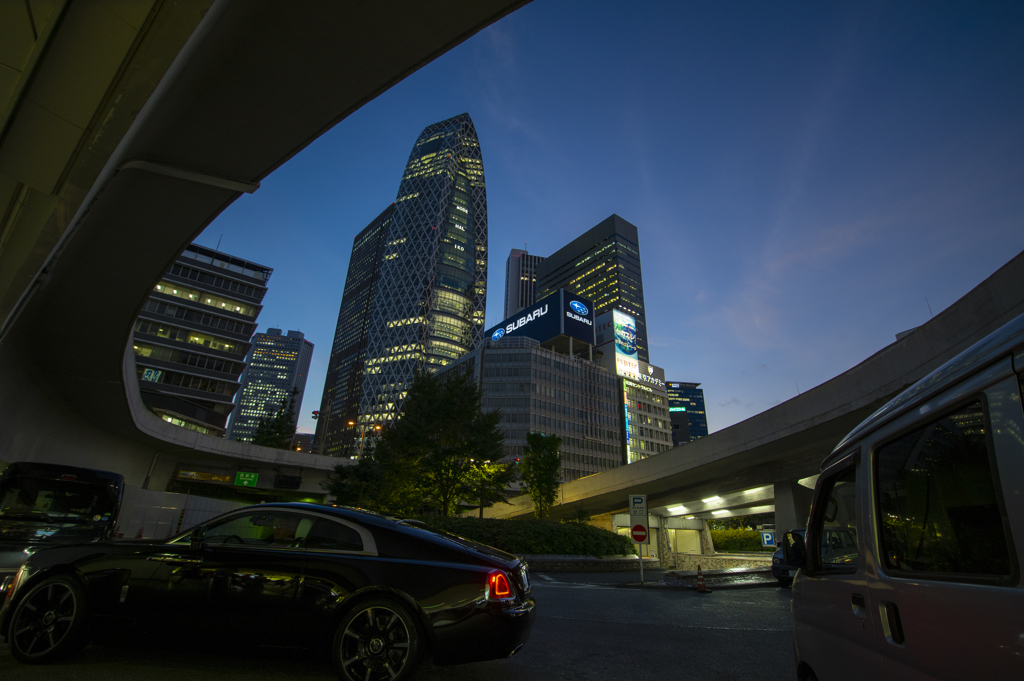 せめて 鮮やかに