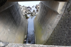 参考：逢初川河口