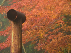 紅葉と煙突 紅葉と煙突