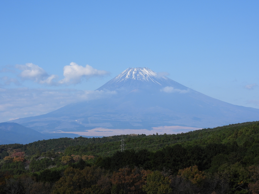 今年の年賀状用写真4