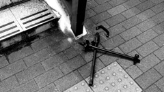 死して屍拾う者なし