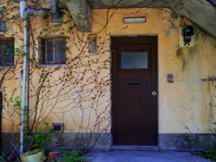 春の紅葉とドア