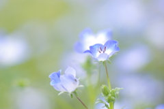 たまにはハイキー