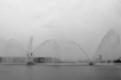 2023ワールドトライアスロン・パラトライアスロンシリーズ横浜大会6