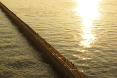 若洲海浜公園の風景１ 釣り場