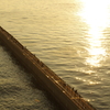 若洲海浜公園の風景１ 釣り場