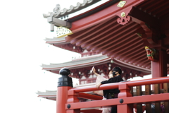 世界は二人のために