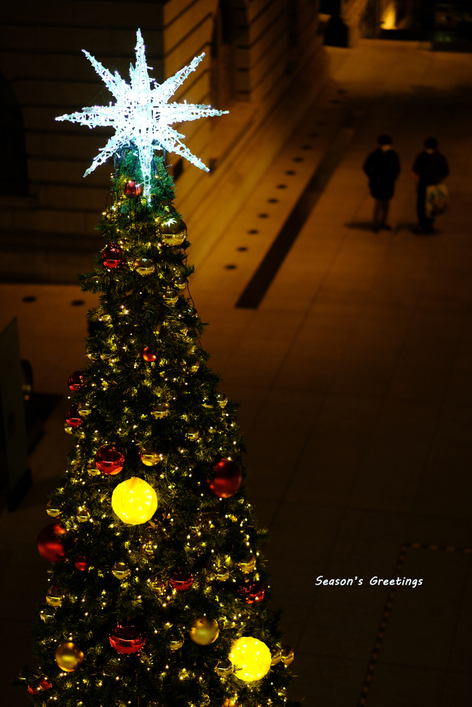 Season’s Greetings