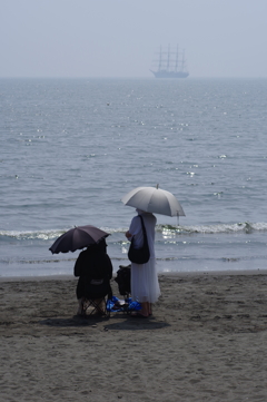 海王丸を眺める
