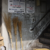 築地市場スナップ　～診療所～