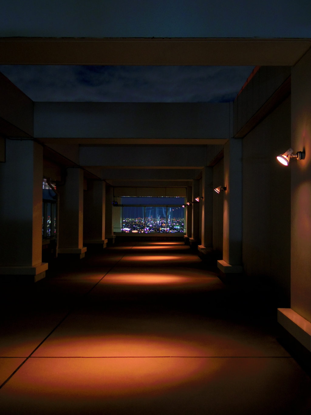 アイ・リンクタウン展望施設の夜景2