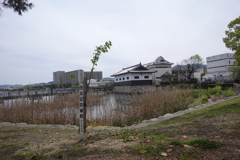 膳所城跡公園で琵琶湖を