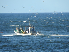 海の恵み