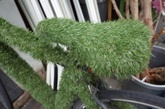 借りてきたGRIIで　02:花屋の自転車