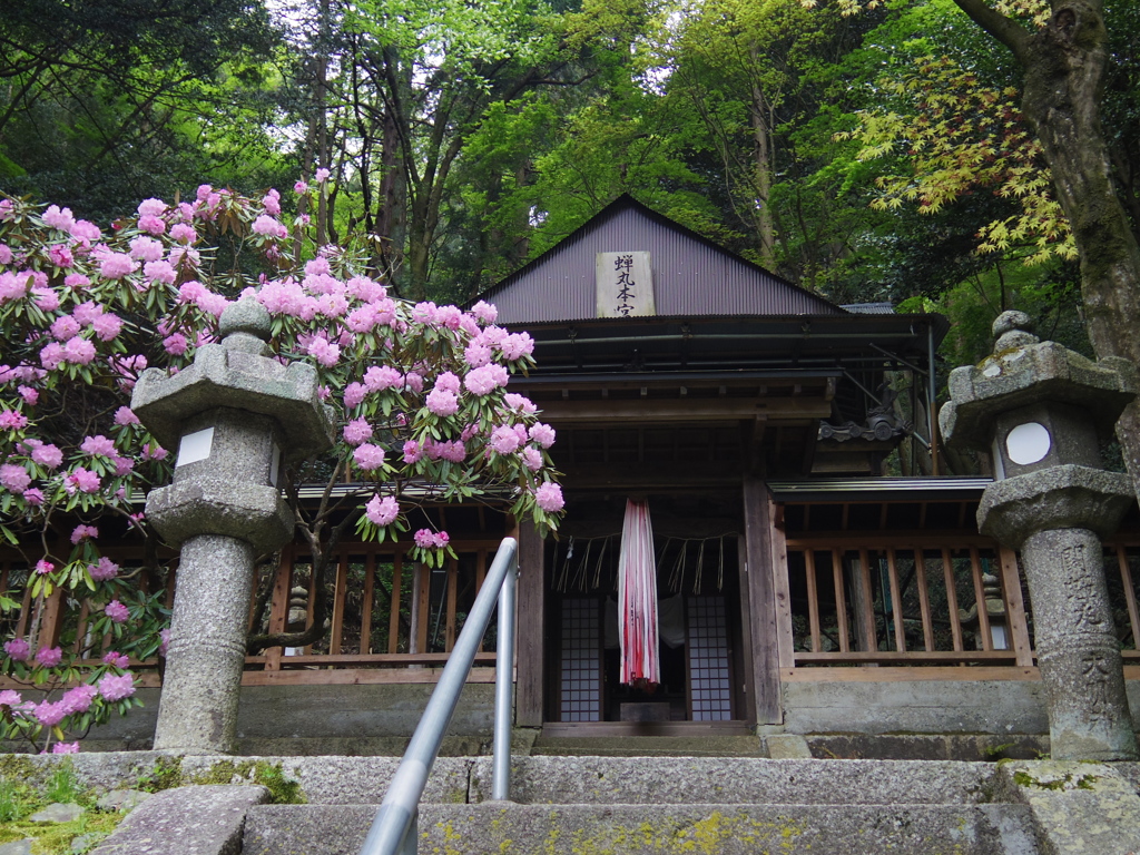 蝉丸神社上社本宮