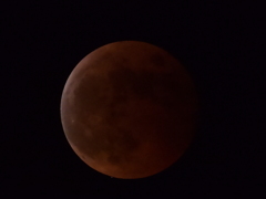 月に沈む天王星を