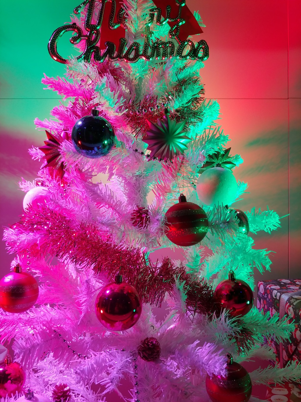 Merry Christmas