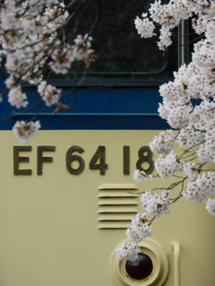 EF64 18