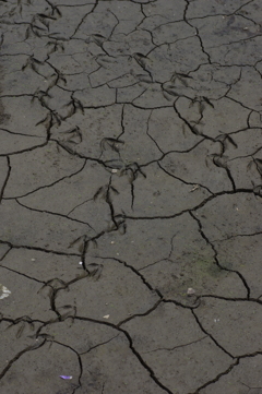 ひび割れに沿って進む