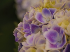 Sweet?! 1