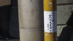 頭上のカラスは知らんぷり